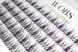 WobS False eyelashes 200 pcs Wobs Fairy Lashes 20D 5 ribbons, size 8-12 mm, PURPUL 2 of 4
