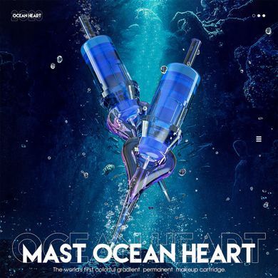 Zestaw wkład&oacute;w do tatuażu Mast Ocean 0801-RL (0,25 mm), 20 szt. w sklepie internetowym Beauty Hunter