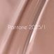 Lakier hybrydowy Nails of the Day Pantone 2025 01, 10 ml 2 z 7