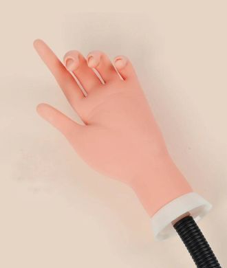 Манекен-рука с зажимом для практики маникюра без типсов в интернет магазине Beauty Hunter