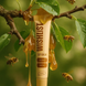 Бальзам-блиск Wishlist lip для губ Blessed Honey Gloss Balm 10 мл + іграшка брелок 3 з 3