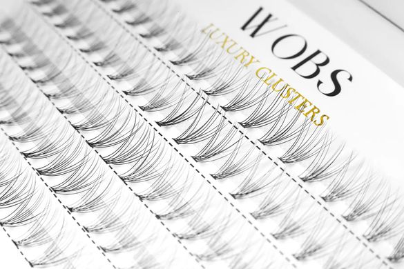 WobS Накладні пучкові вії 100шт Wobs Crease cross, 10D 5 стрічок пучки, розмір 8 mm в інтернет магазині Beauty Hunter