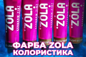 Колористика краски ZOLA - палитра оттенков, миксы, свотчи