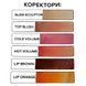 Corrector The Mineral for permanent make-up of lips Lip Brown 6 ml 2 of 2
