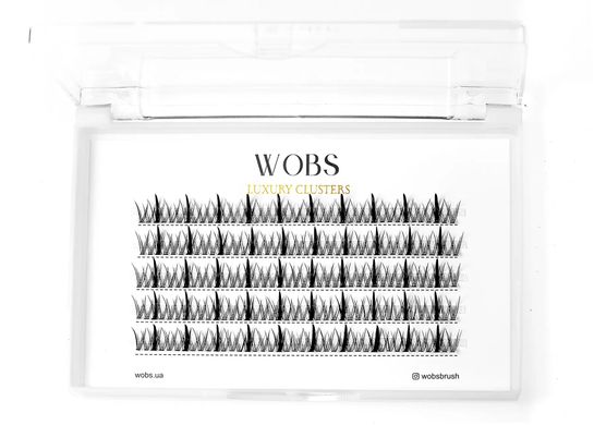 WobS Накладные пучковые ресницы 200шт Wobs Fairy Lashes, 20D 5 лент пучки, размер 8 mm в интернет магазине Beauty Hunter