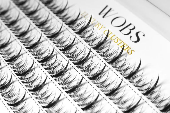 WobS Накладні пучкові вії 200шт Wobs Fairy Lashes, 20D 5 стрічок пучки, розмір 8 mm в інтернет магазині Beauty Hunter