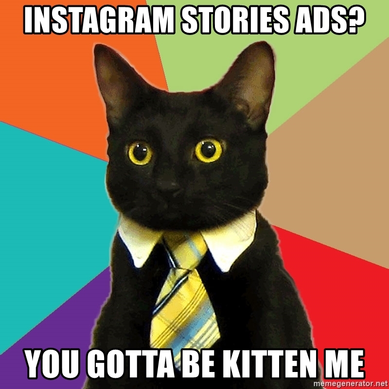 meme cat instagram ads