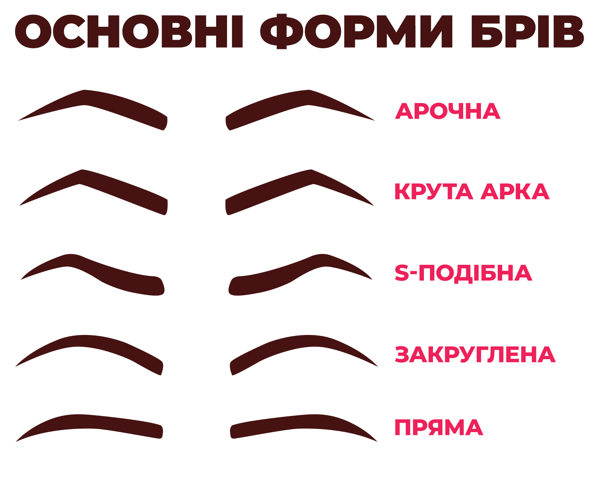Графічне зображення, що ілюструє основні форми брів: горизонтальні, висхідні, дугоподібні, зі зламом, «будиночком», вигнуті, округлі та падаючі